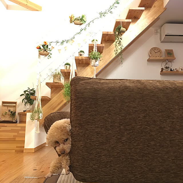 noririnさんの実例写真