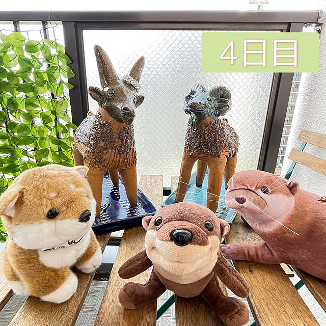 aureaさんの実例写真