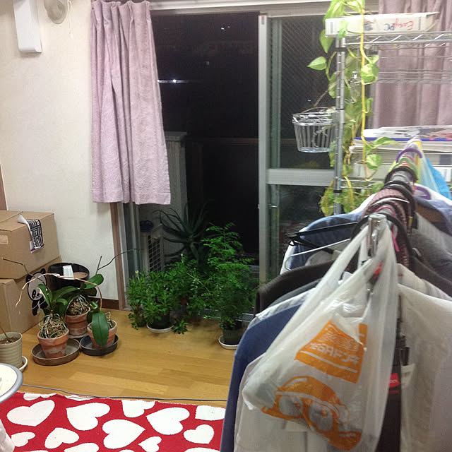 mikiandneneさんの実例写真