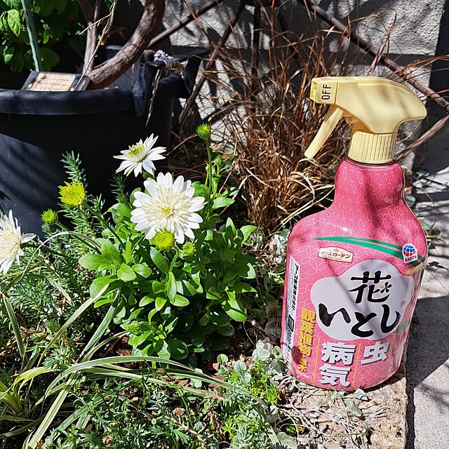 Jijiさんの実例写真