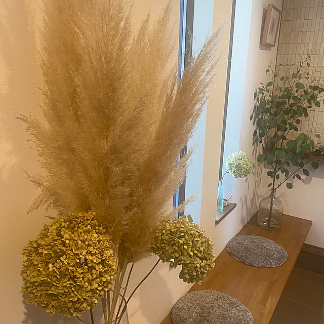 taakoさんの部屋