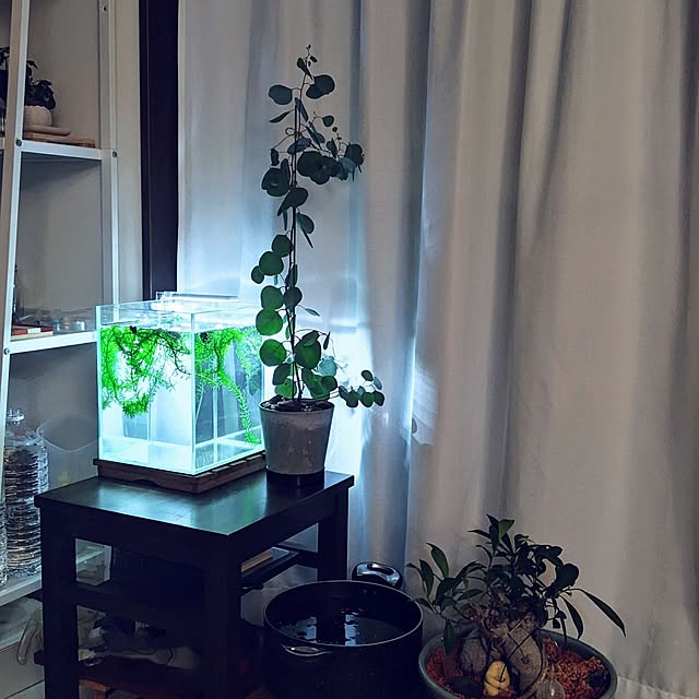 mi-saさんの実例写真