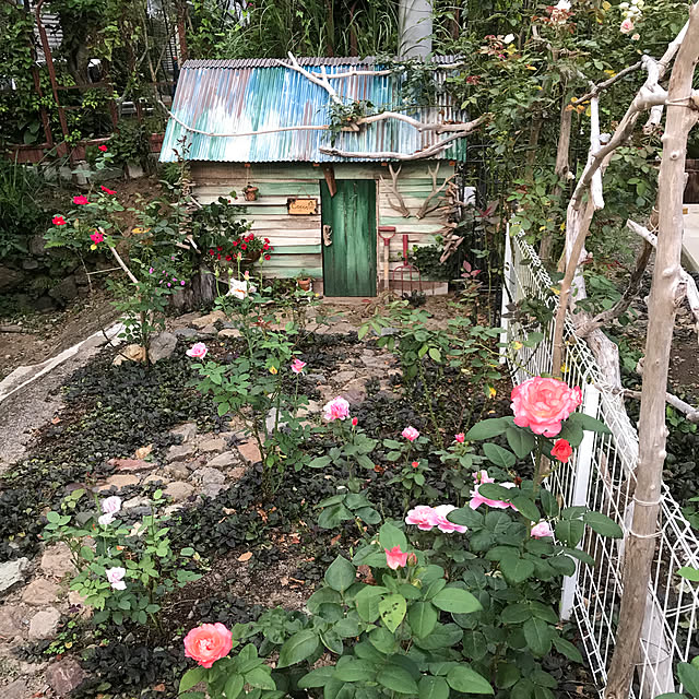 pepeさんの実例写真