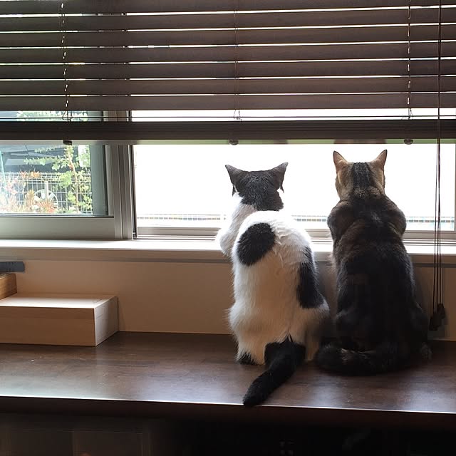 neuruさんの実例写真