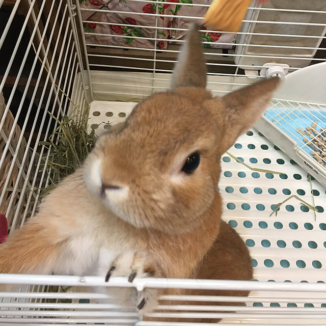 Yasuyukiさんの実例写真