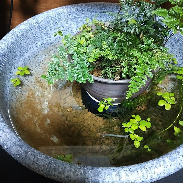 opiopiopiさんの実例写真