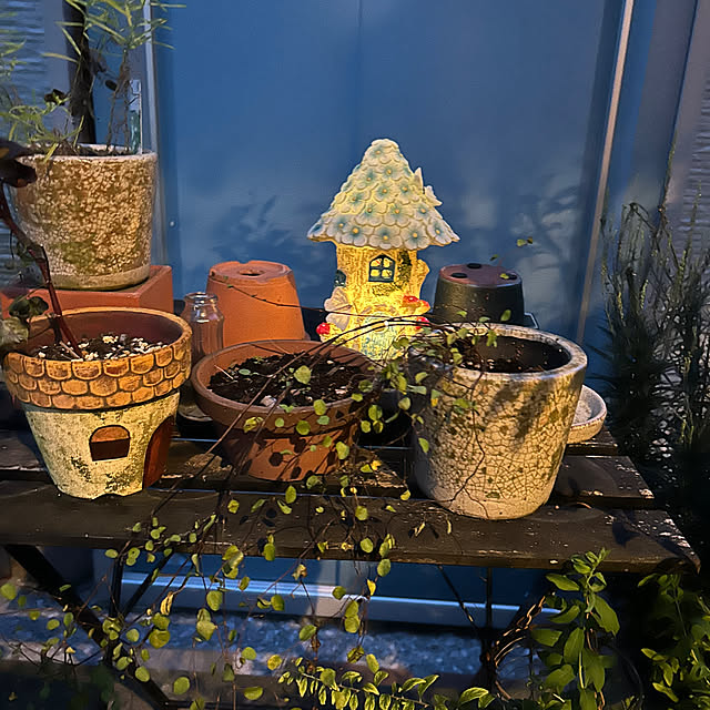 hatsugaさんの部屋