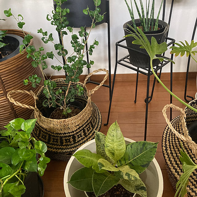 matthewさんの部屋