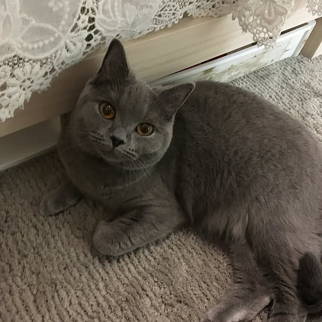 fionaさんの実例写真