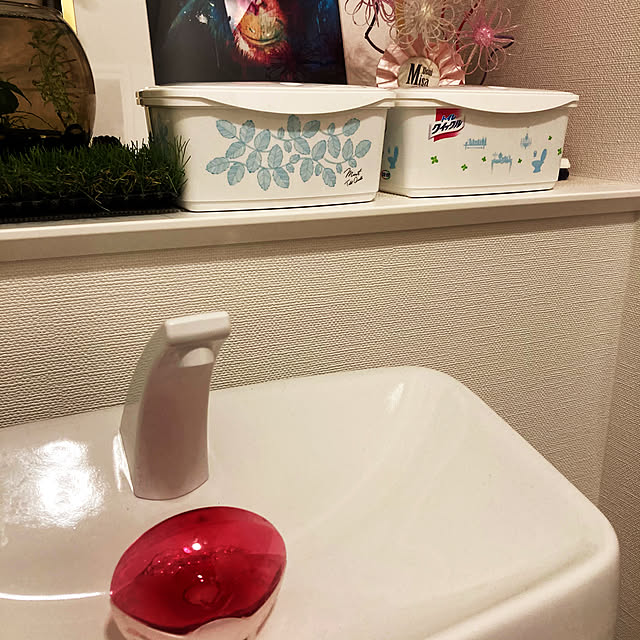Misaさんの実例写真