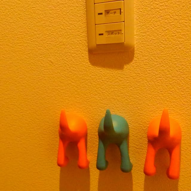 verossaさんの実例写真