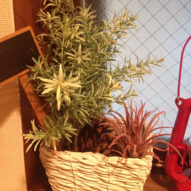 Cozy-m-Roomさんの実例写真