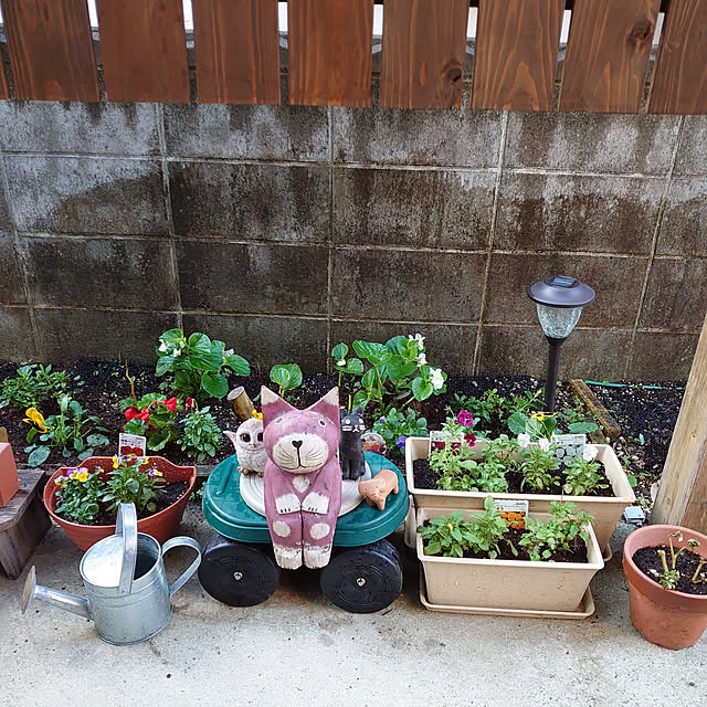 fukuさんの実例写真