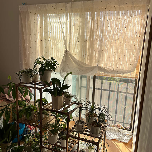 mazeranさんの部屋