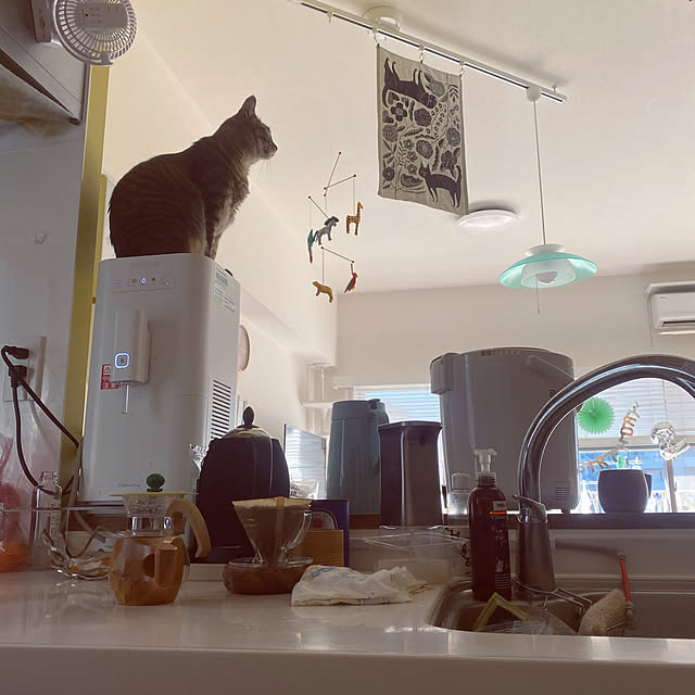 mikomaruさんの実例写真