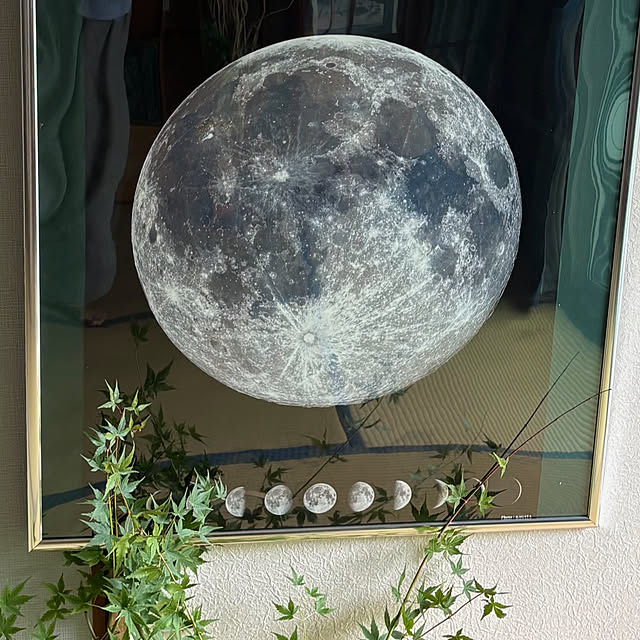 syutmmさんの実例写真