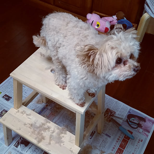 kikiさんの実例写真