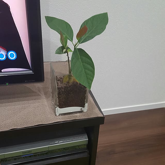 nontaxxxさんの実例写真