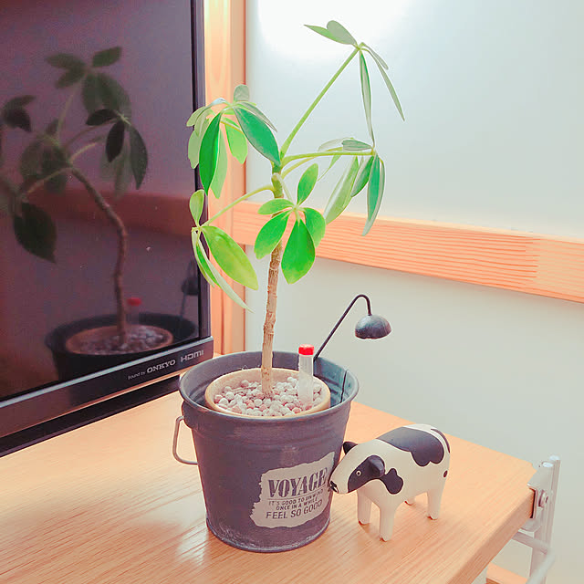 evitenさんの実例写真