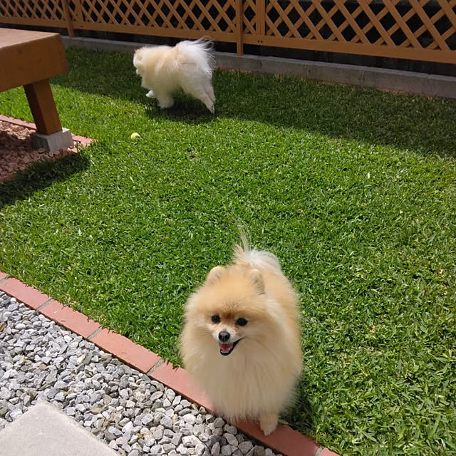moyoさんの実例写真