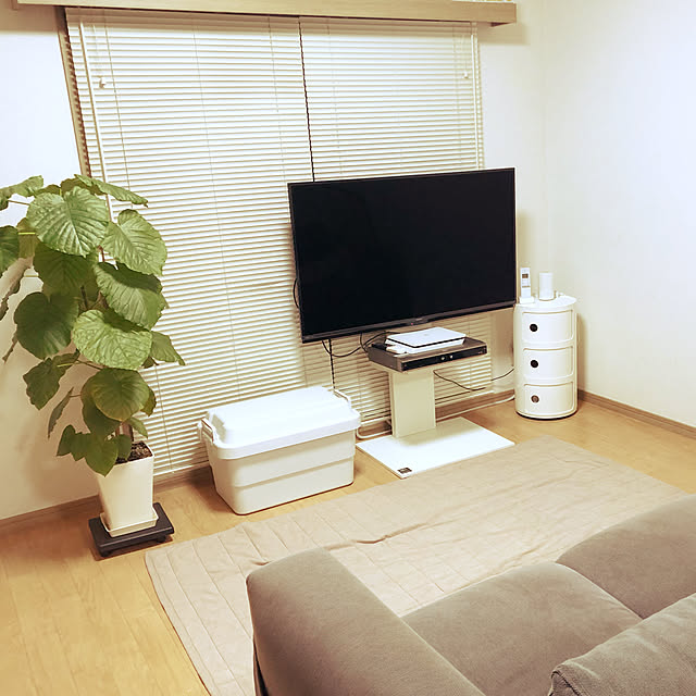 myoさんの実例写真