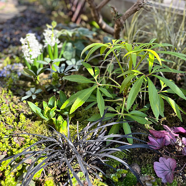 kyoko1124koさんの部屋