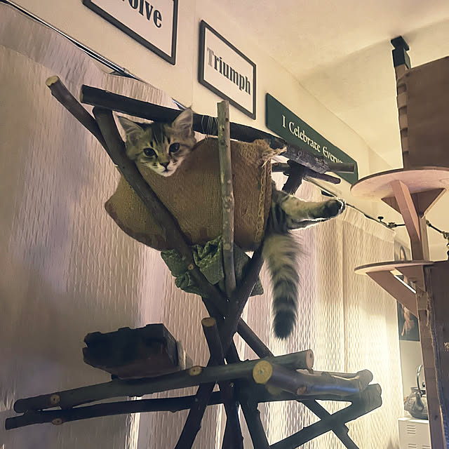 Mさんの部屋