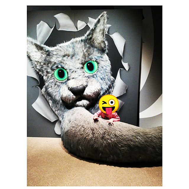 rokudenashiさんの実例写真