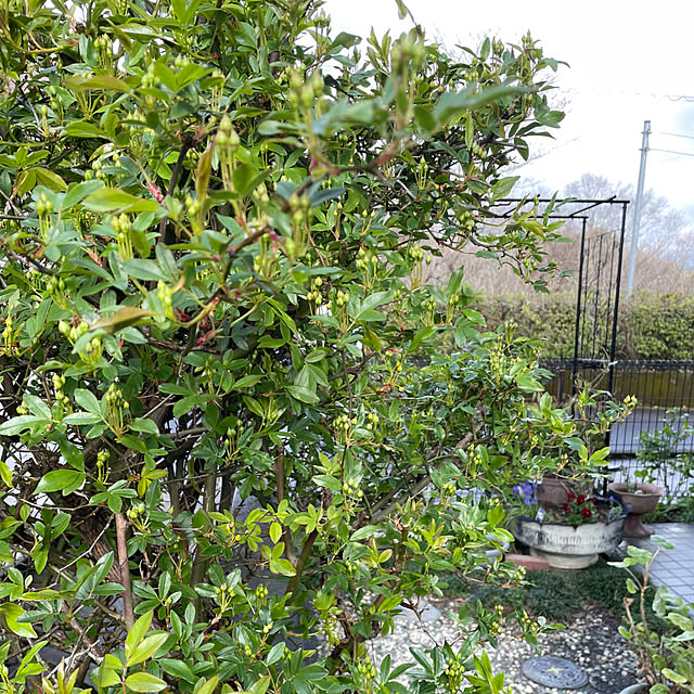 natsumiさんの部屋