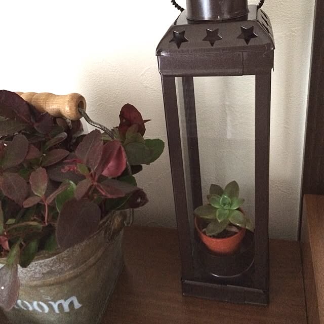 belleさんの実例写真