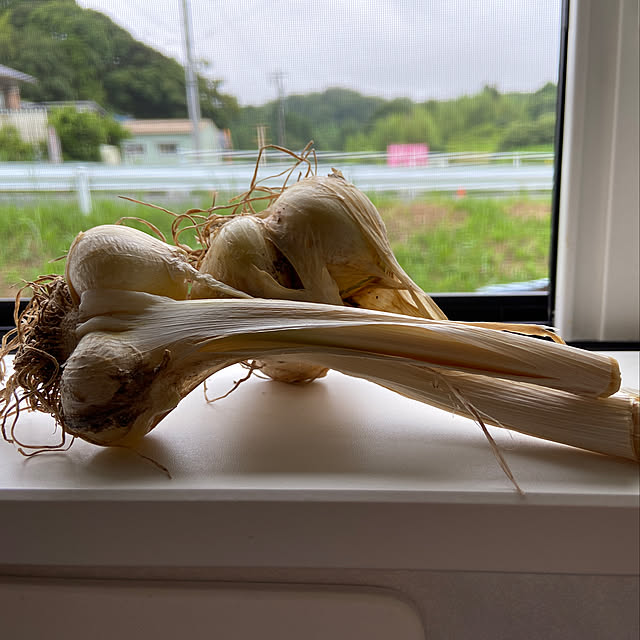 Kyoko.さんの実例写真