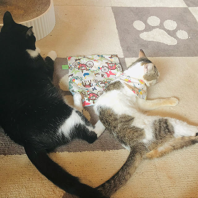 Oreoさんの実例写真