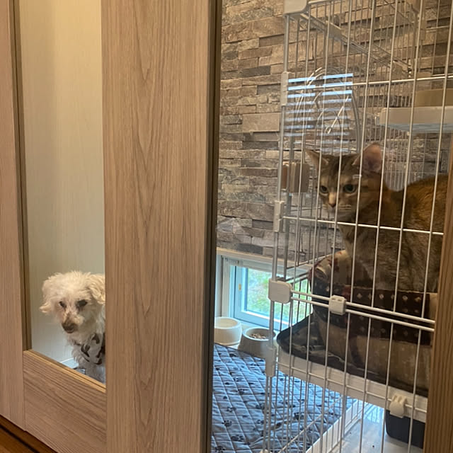 Mさんの部屋