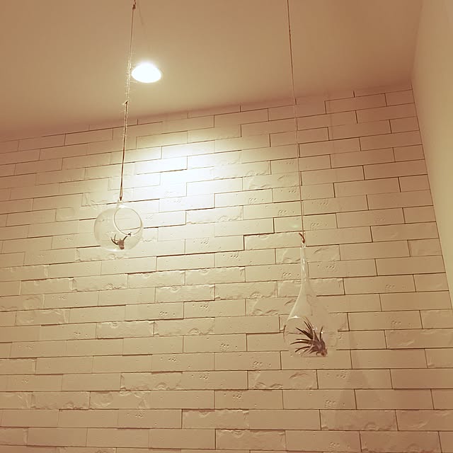 mintさんの実例写真