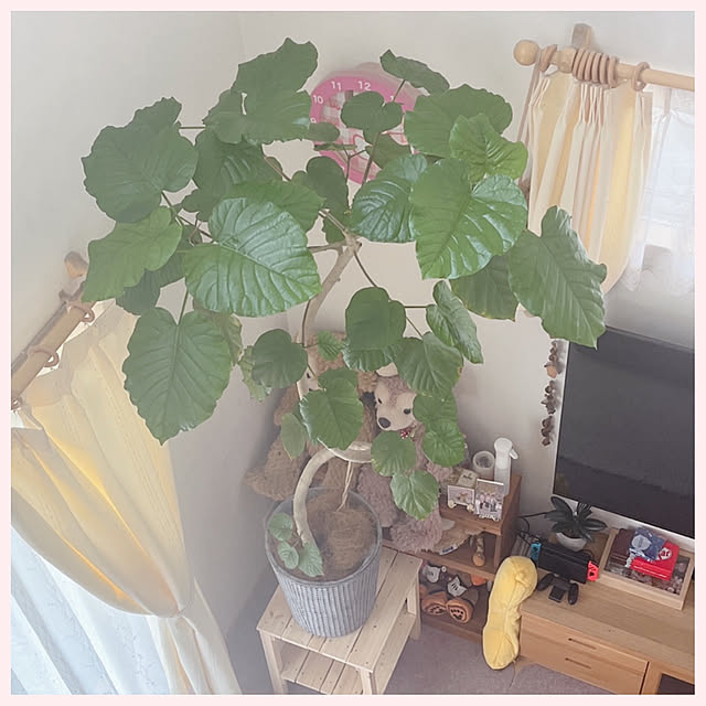 keikoさんの実例写真