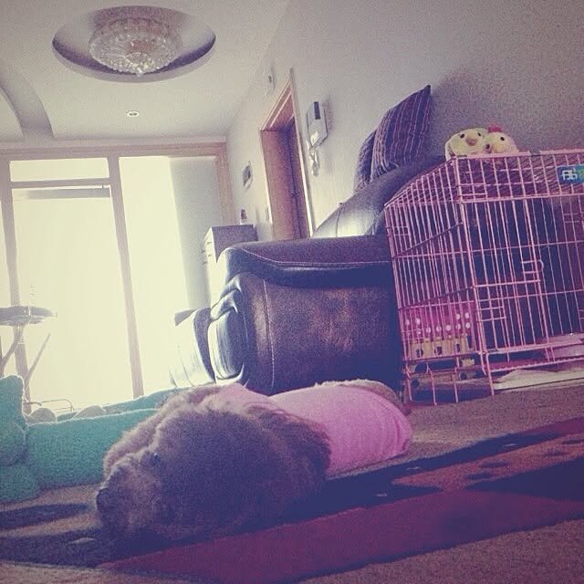 maylieさんの実例写真