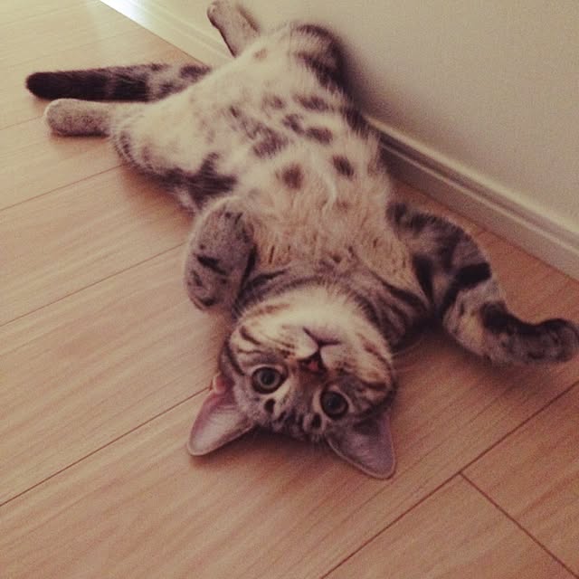 y.k.0123さんの実例写真