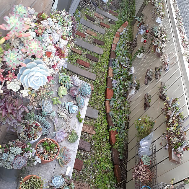 amtさんの部屋