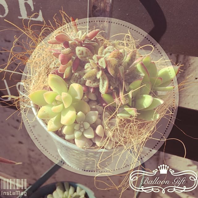 Good.smileさんの実例写真