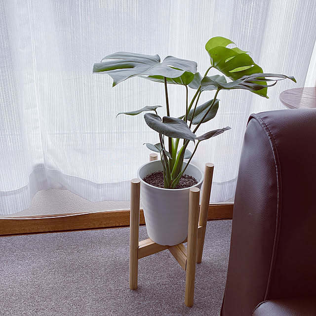 my_homeさんの実例写真