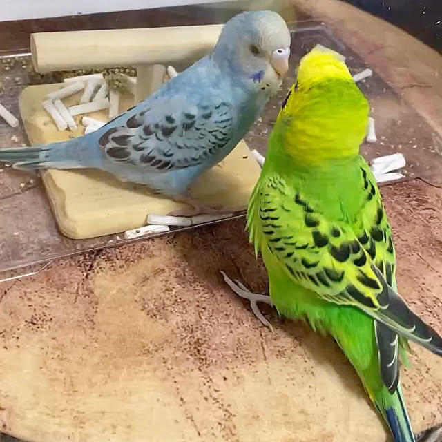 ohanaさんの部屋
