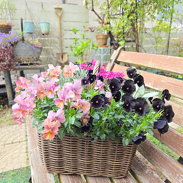 min_nimさんの実例写真