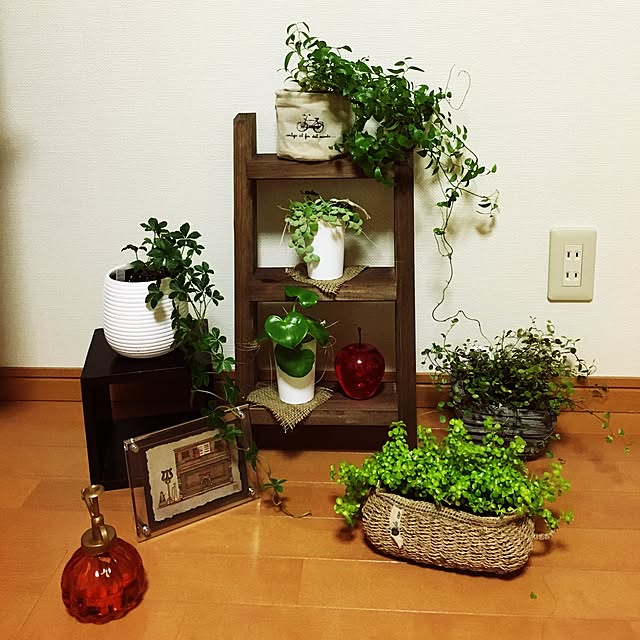 juboccoさんの実例写真