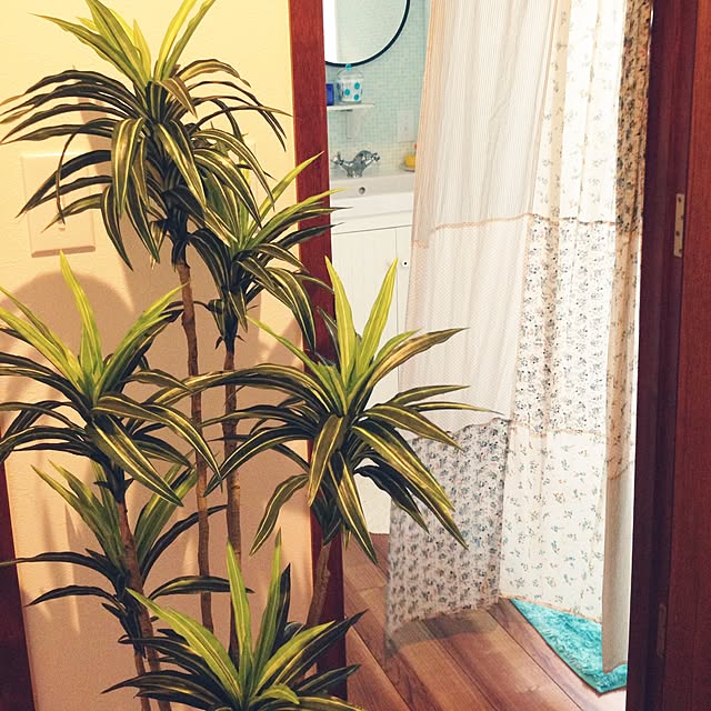 Rikoさんの実例写真