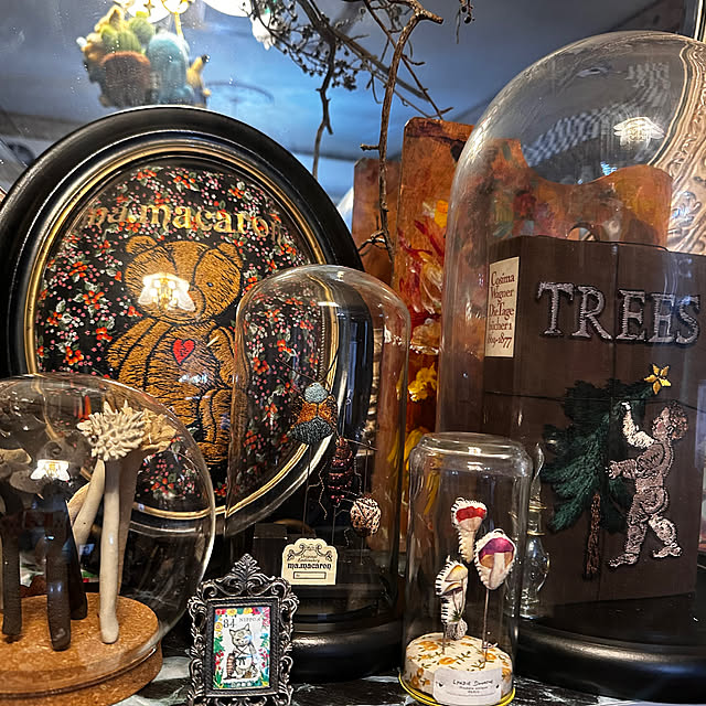 okyame-chanさんの部屋