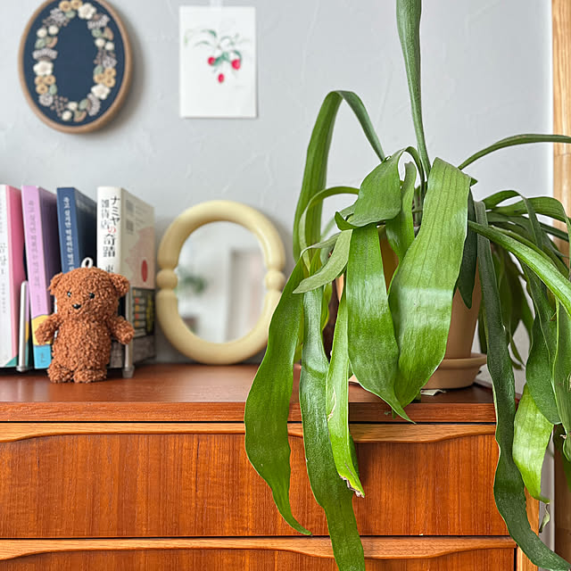 siosai10さんの実例写真