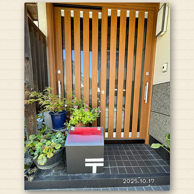 buchiさんの実例写真