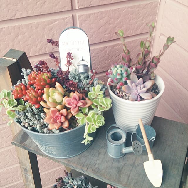 chachamaruさんの実例写真