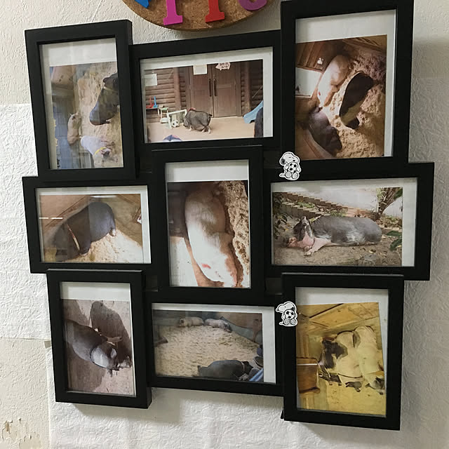 POTさんの実例写真