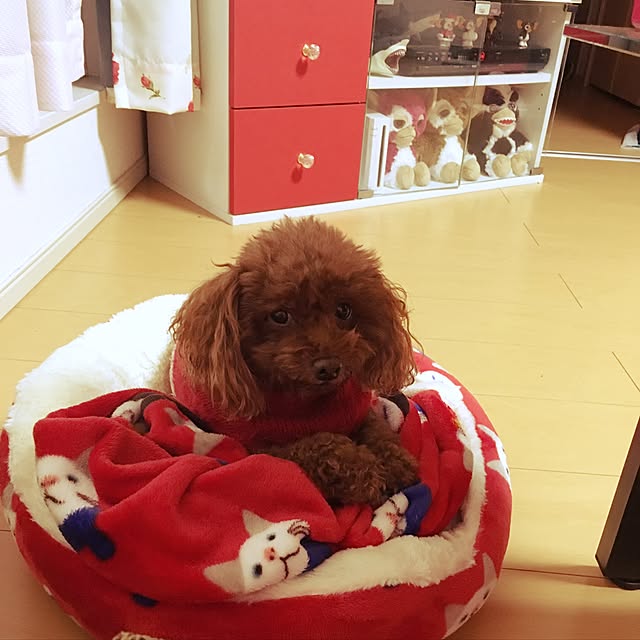 Hecacoさんの実例写真